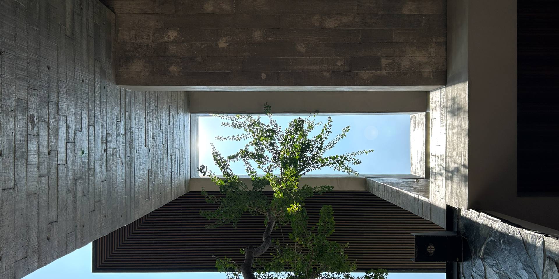 Vista hacia el cielo entre muros de concreto aparente y un árbol